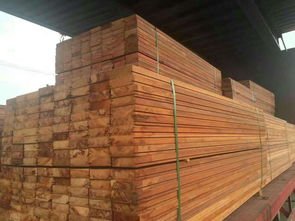 正宗澳洲賈拉木市場價格解析與建材批發指南