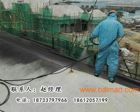 北京噴涂速凝防水涂料 技術(shù)轉(zhuǎn)讓、廠家直銷與網(wǎng)絡(luò)服務(wù)的一站式解決方案